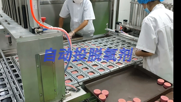 龍應(yīng)FKJ全自動(dòng)封口機(jī) 龍應(yīng)FKJ全自動(dòng)封口機(jī)