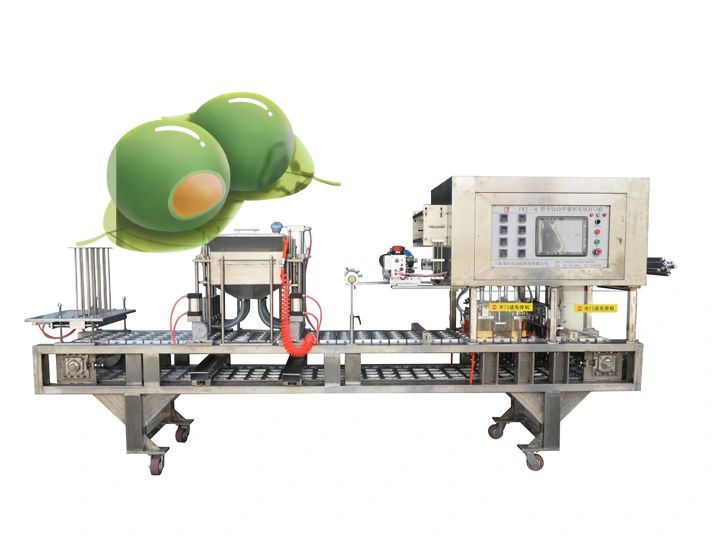 龍應(yīng)青團(tuán)全自動(dòng)封口機(jī)